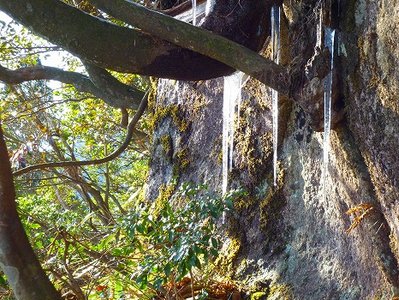 危ない、危ない