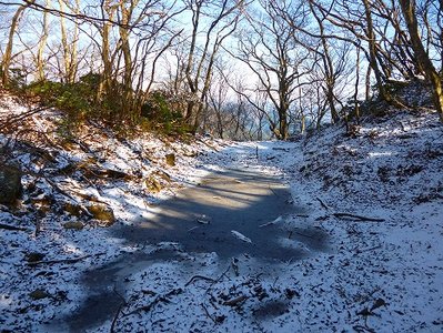氷が張ったヌタ場