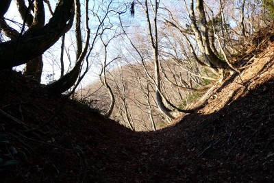地形図の大坂の手前の峠　お地蔵さまはここにあります