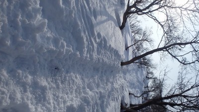 山頂へもうちょっと