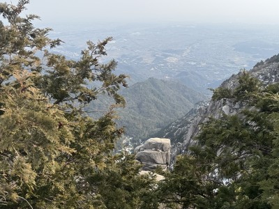 P1からヤグラを見下ろして