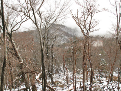 IMG_4559.jpg (469.33 KiB) 閲覧された回数 19627 回 ガスがせまる南峰