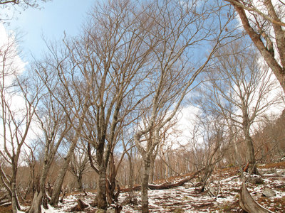 IMG_4560.jpg (554.05 KiB) 閲覧された回数 19558 回 真上は青空