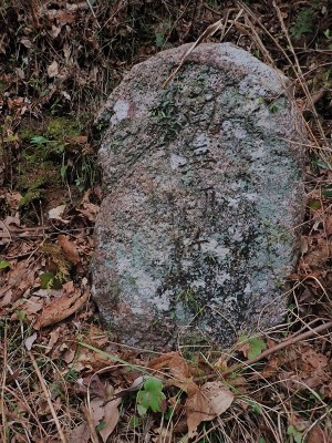 丹生峠道の石仏
