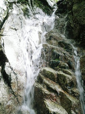 IMGP9496.JPG (115.93 KiB) 閲覧された回数 13668 回 10m滝の下段