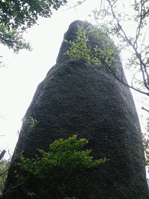 IMGP9532.JPG (101.86 KiB) 閲覧された回数 13668 回 重ね岩の裏手の一本指