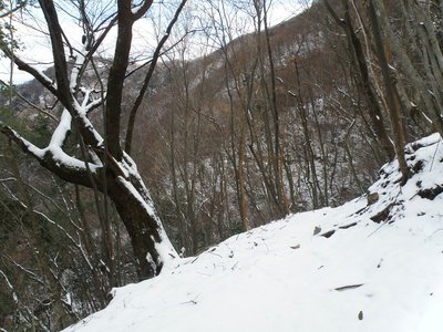 金谷右岸水平道には雪。