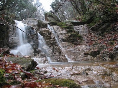 金地版　三筋の滝