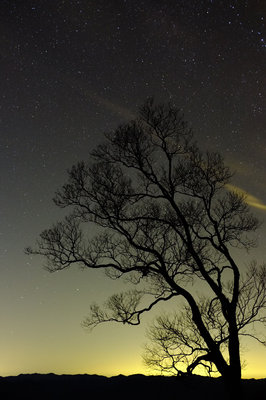 ライバルのグ～さんに負けられないと、師匠が送ってきた写真☆