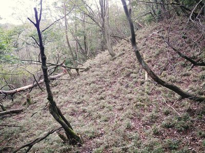 金地峠の南側もいい感じ
