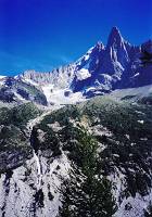 ドリュー登はん中のふ～さん（ウソ）