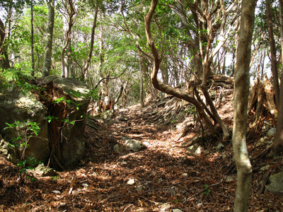 IMG_4542.jpg (583.85 KiB) 閲覧された回数 8826 回 坊主揚げの古道