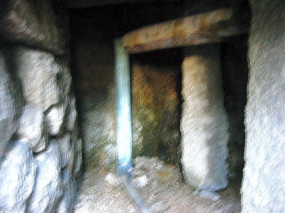 ● 鹿が見つけた湯元