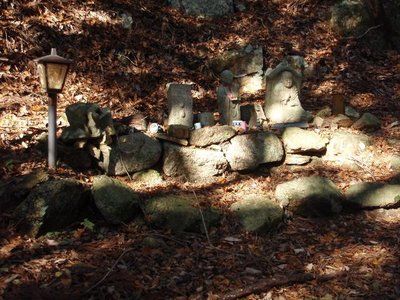 法(宝)印ノコバ