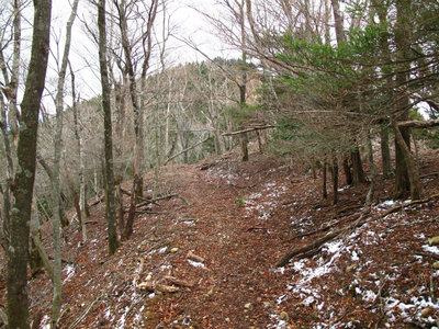 IMG_4567.jpg (543.41 KiB) 閲覧された回数 8812 回 坊主揚げの道