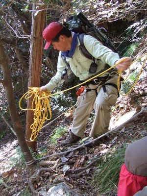 痛風さんの手技.jpg (262.1 KiB) 閲覧された回数 6487 回 ザイルダウンダンスザンス