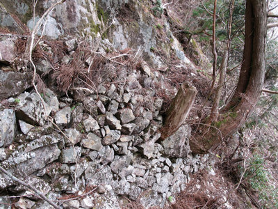 土倉古道（花抜峠の下あたり）