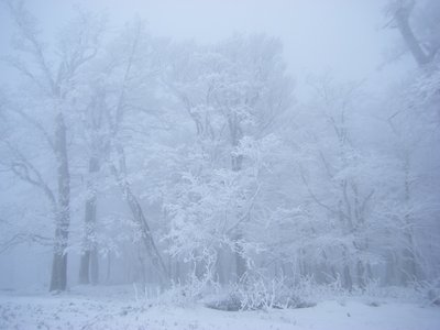 こういうのも良かったです。