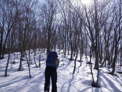 IMGP6231-s.JPG (151.23 KiB) 閲覧された回数 6048 回 小谷の西尾根