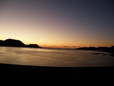 長島・豊浦神社前浜からのアサ。