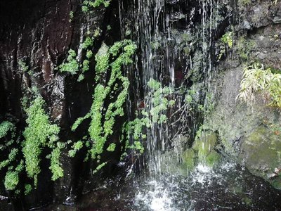 IMGP6181-s.JPG (137.76 KiB) 閲覧された回数 6048 回 奥の院の浄水