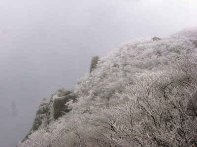 ● 今年初めての樹氷が見れました、ココのは小さいけど幼馴染なんだワン