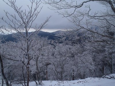 panaさんが見えるかな？