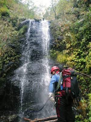 IMGP9794_sh01.JPG (132.31 KiB) 閲覧された回数 5501 回 懸垂①