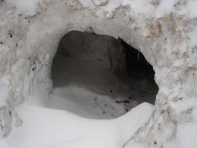 2011_03_03 002.jpg (178.3 KiB) 閲覧された回数 9906 回 雪洞というかイグルーというか