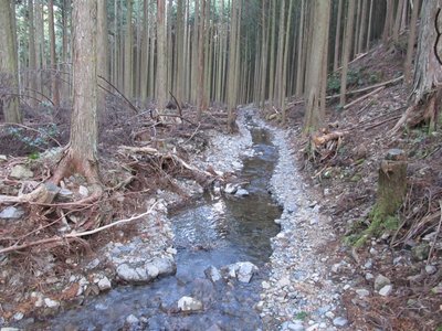 そのうちアマゴが泳ぐかな？