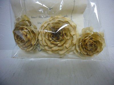 市販されているヒマラヤスギの実