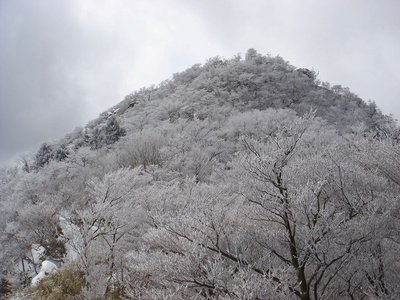 2011_03_03 009.jpg (197.37 KiB) 閲覧された回数 9915 回 鎌ヶ岳山頂を見上げる