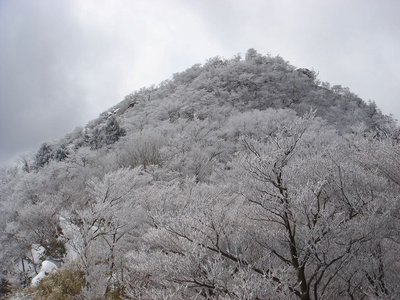 鎌ヶ岳山頂を見上げる