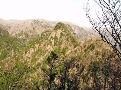 ● 坊主の鋭鋒、はるか向こうが加茂助ノ高だよ