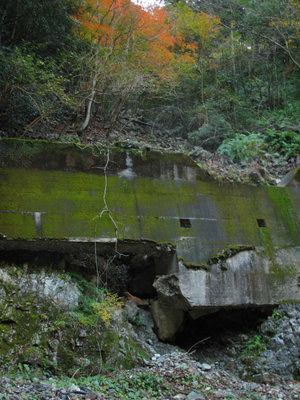 IMG_4522.jpg (380.46 KiB) 閲覧された回数 4536 回 河原に下りた地点