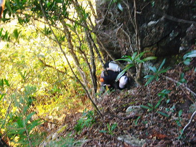 ● 崖を上がるノッパラちゃん、こんなのが幾つか有るよ