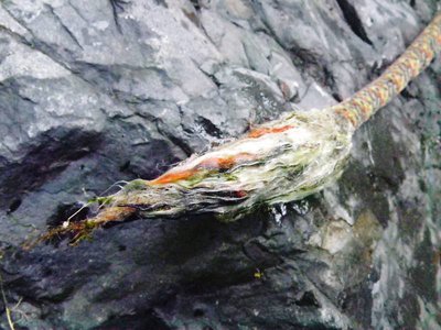 兎夢さんのロープ③