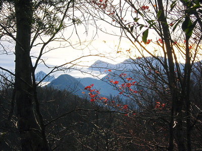 ● この景色は好いね、見ながらイッパイは美味しいね