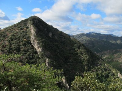 IMG_6488.jpg (162.83 KiB) 閲覧された回数 11716 回 切間の鉢