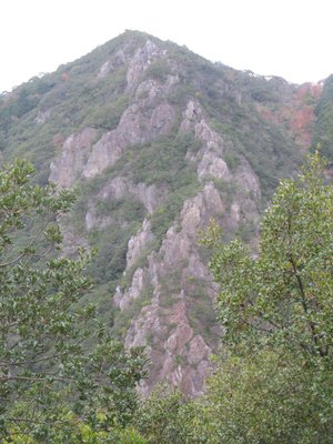 IMG_6527.jpg (186.71 KiB) 閲覧された回数 11711 回 諾炬羅山岩尾根