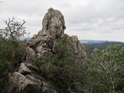 IMG_6558.jpg (172.28 KiB) 閲覧された回数 11716 回 海を眺める諾炬羅像(石仏ではありません)