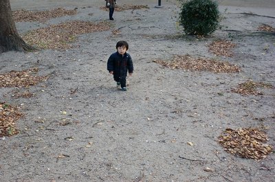 バリルートを行く