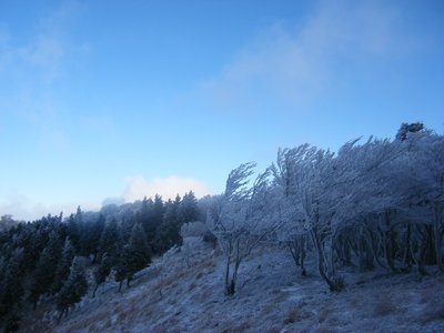 木梶山～馬駆け場辻1