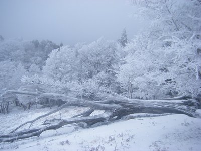 木梶山～馬駆け場辻3