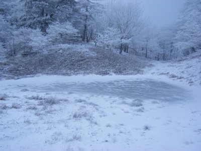 ガチガチの赤ゾレ池
