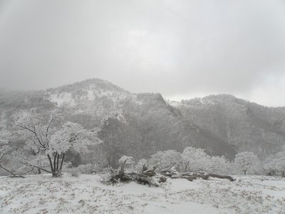 ヒキウス平から奥峰、右檜塚。