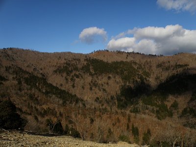 梅の木谷源流域（左端が1344ピーク）