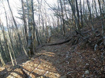 トロッコ道は続くよ～