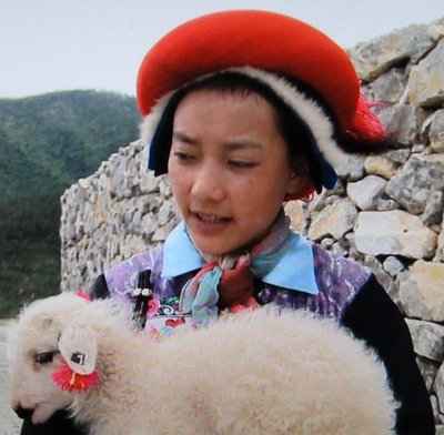 IMG_0538-s.JPG (151.75 KiB) 閲覧された回数 5581 回 TVを写すときもブレ注意だね シャングリラの美少女(昨日のNHKBSより)