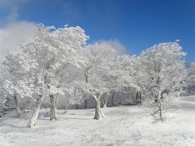 稜線に登ると！